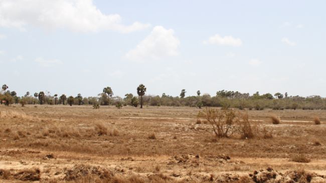 Sri Lanka đối mặt với đợt hạn hán nghiêm trọng kéo dài
